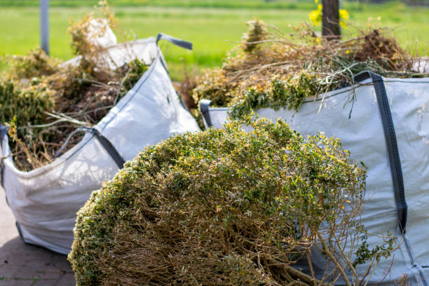 Best Recycling Services for Junk  in Canton Valley, CT